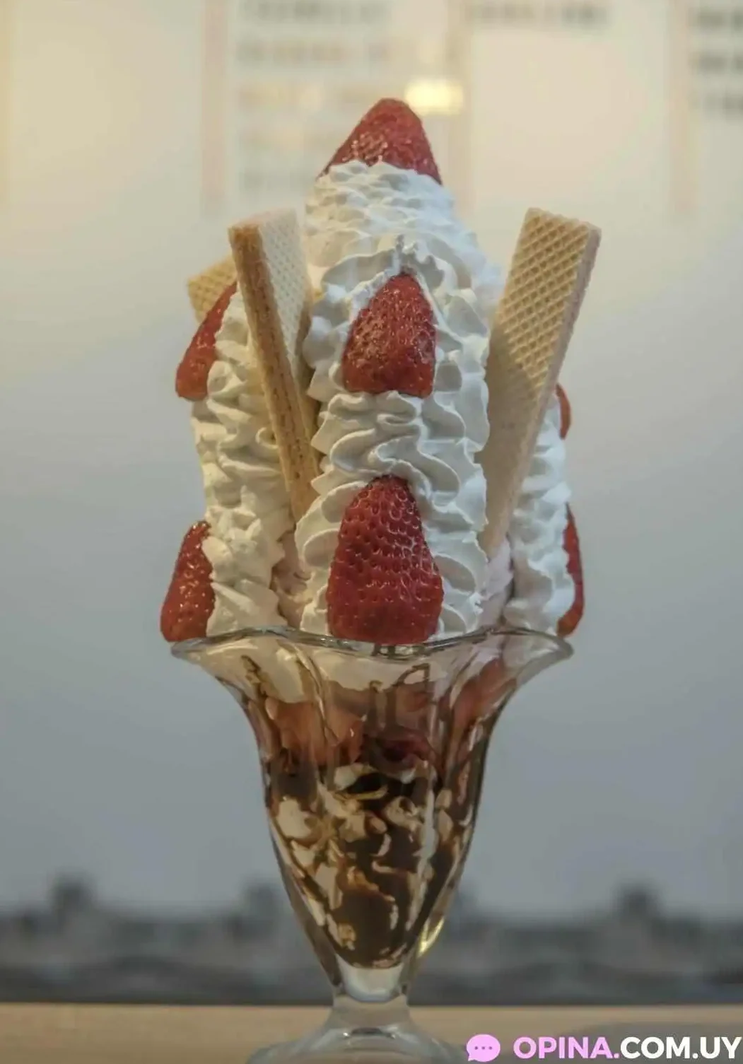 Helados Dienzzo 1 helados dienzzo 2